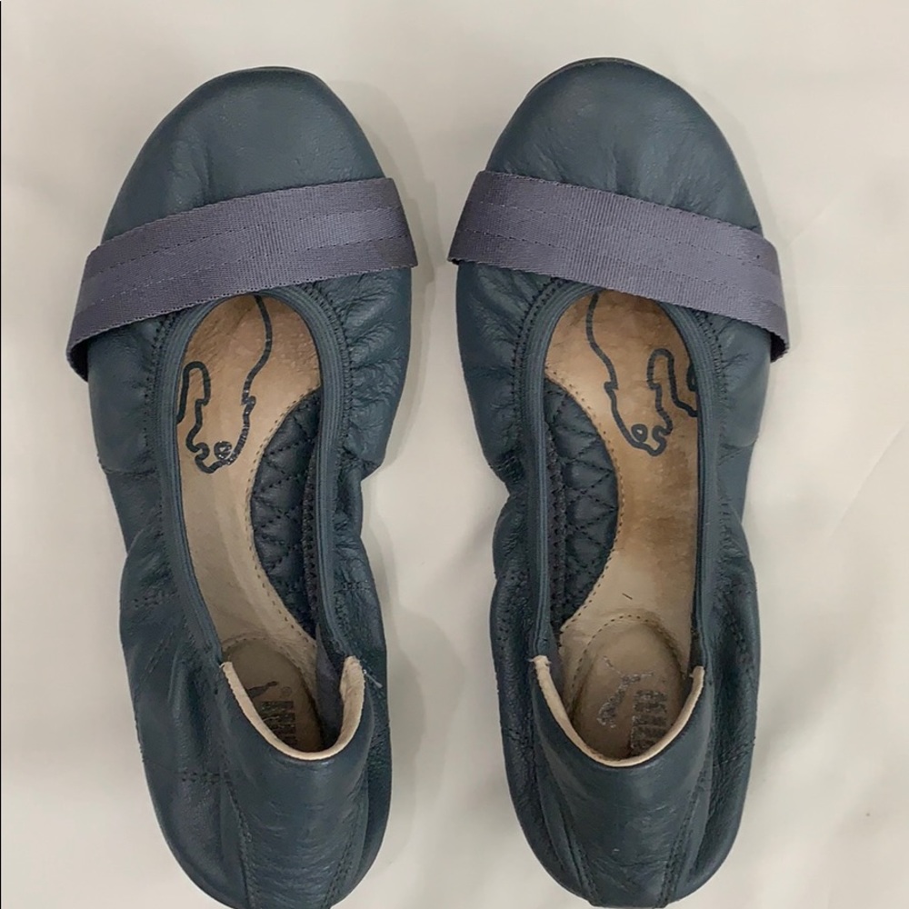 Puma Flats